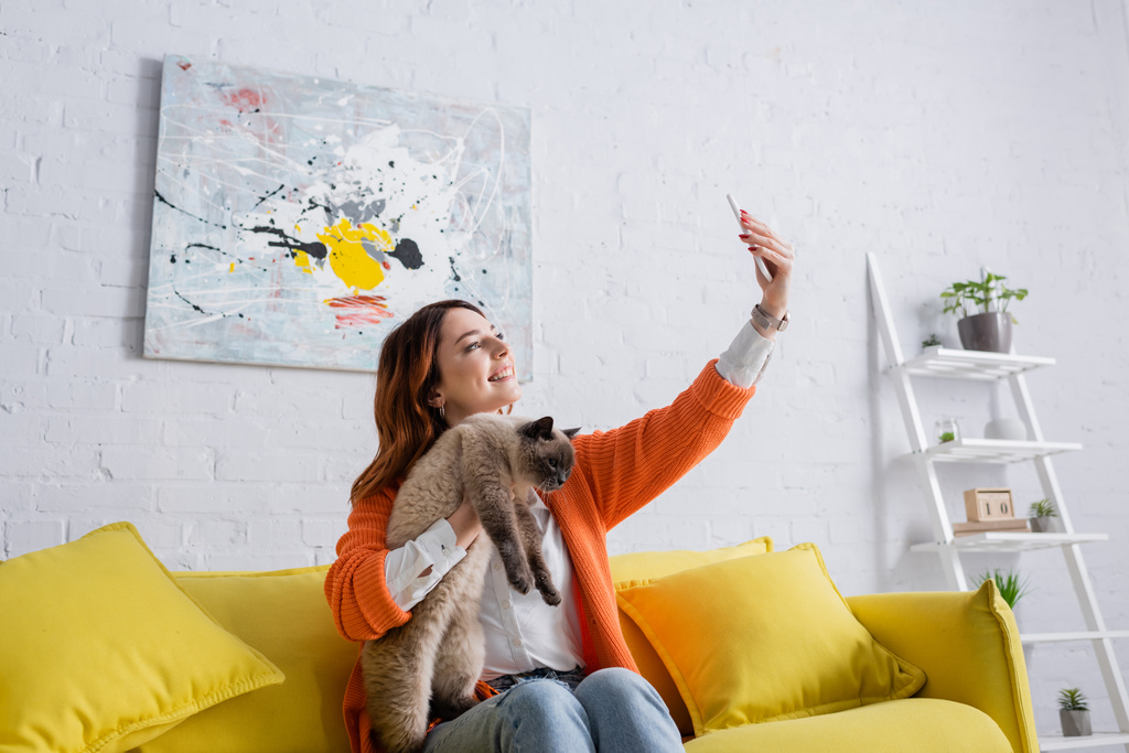 excited woman taking selfie with cat while sitting on couch near picture on white wall - Photo, Image