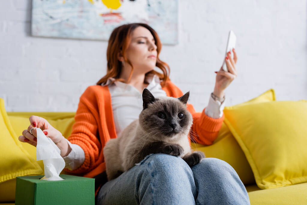 mujer alérgica borrosa sosteniendo teléfono inteligente mientras toma servilleta de papel de paquete cerca del gato - Foto, Imagen