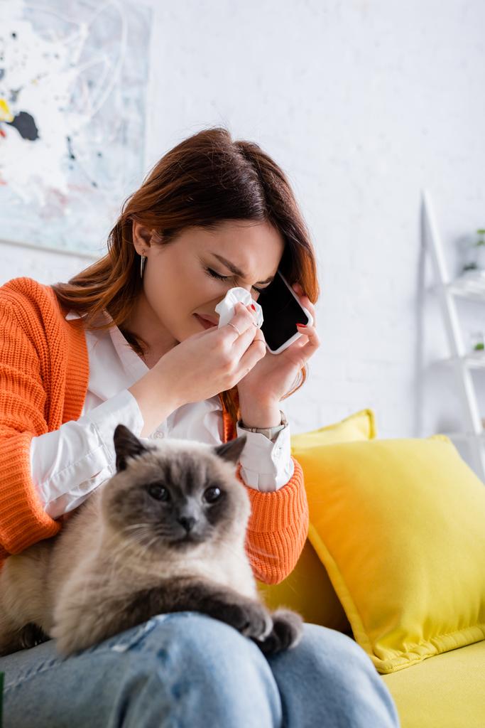 femme allergique avec les yeux fermés éternuer dans une serviette en papier et parler sur un téléphone portable tout en étant assis sur le canapé avec chat - Photo, image