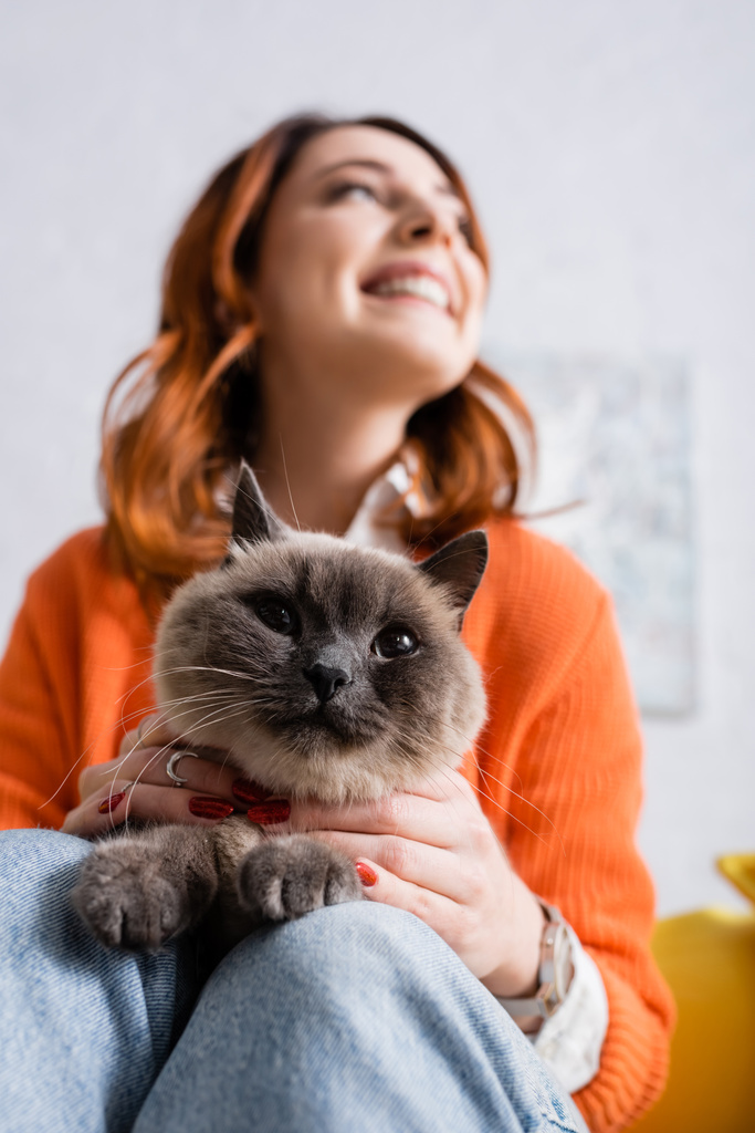 low angle view of blurred cheerful woman sitting with furry cat at home - Photo, Image