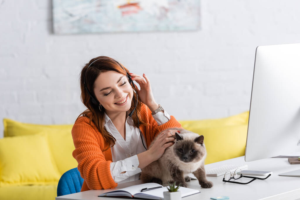 щаслива жінка в гарнітурі кидає кішку під час роботи біля комп'ютера вдома
 - Фото, зображення