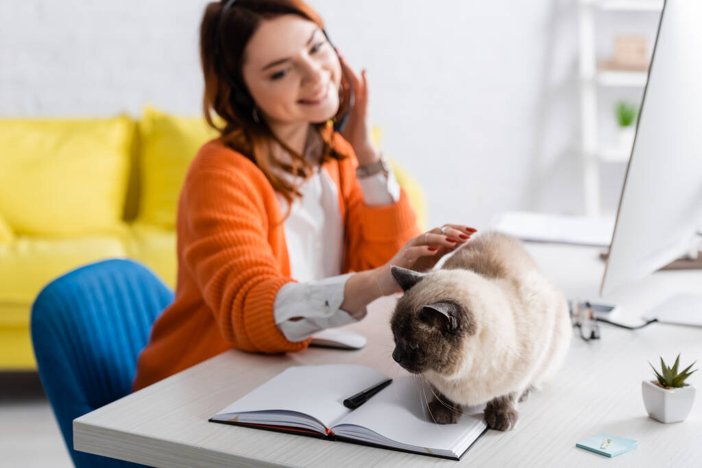 soffice gatto seduto sulla scrivania vicino notebook e giovane donna sorridente su sfondo sfocato - Foto, immagini
