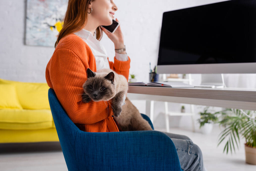 περικοπή άποψη θολή γυναίκα μιλάμε στο κινητό, ενώ κάθεται με τη γάτα στο χώρο εργασίας - Φωτογραφία, εικόνα