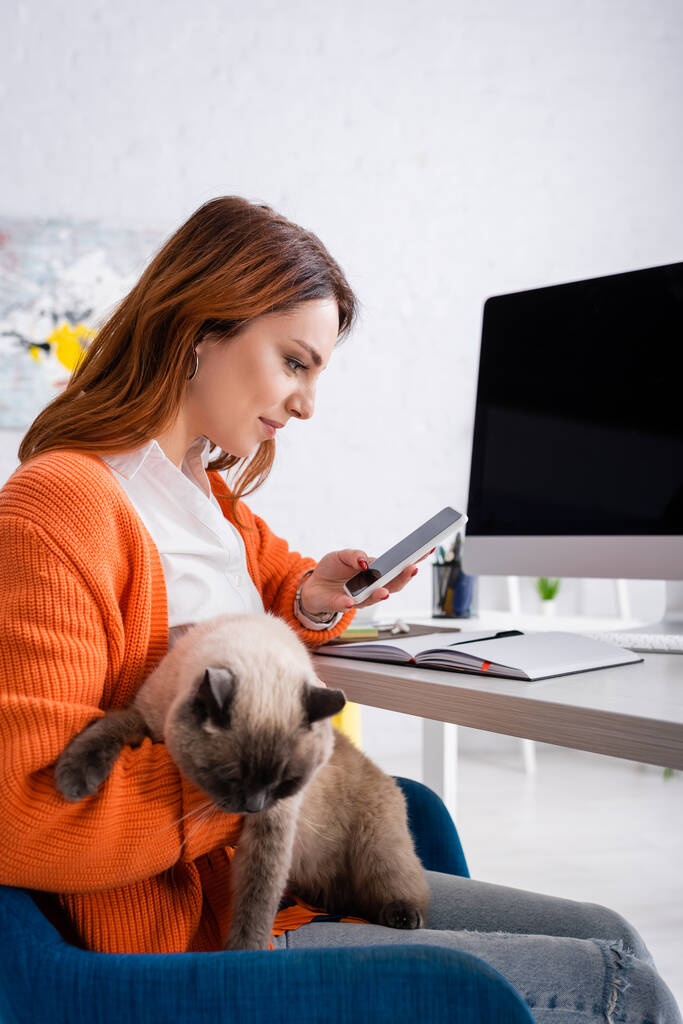 mujer bonita sosteniendo gato mientras usa teléfono inteligente cerca de monitor borroso con pantalla en blanco - Foto, imagen