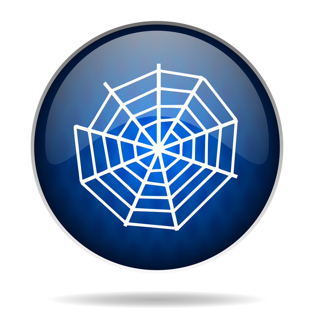 Spider web internet ikonra - Fotó, kép