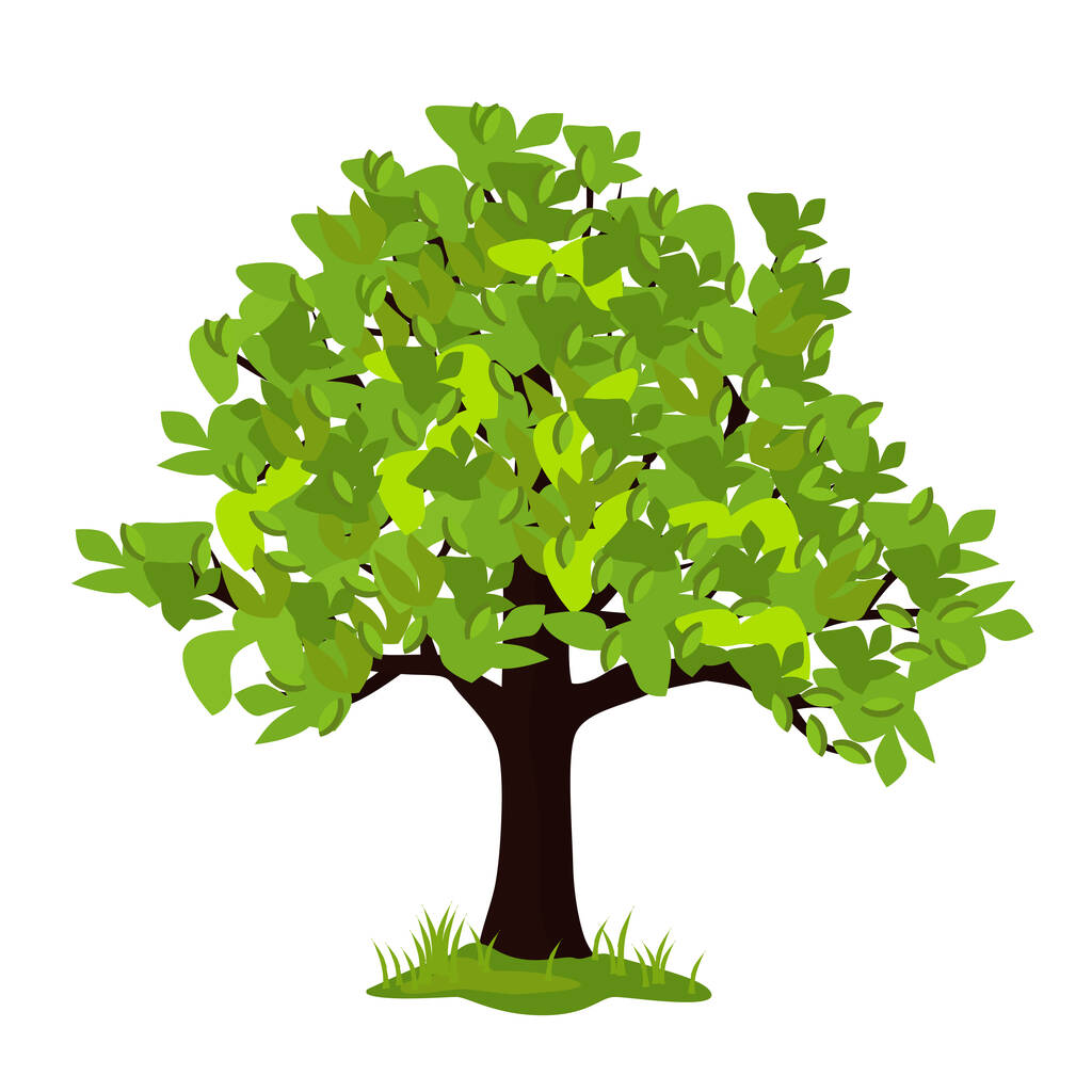 Illustration vectorielle d'un arbre en été isolé sur fond blanc. - Vecteur, image