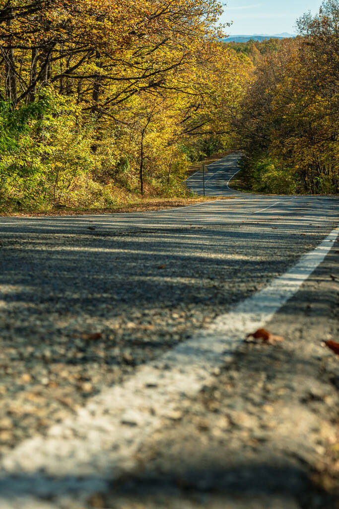 マーキングの白い固体行とアスファルトの国の道路。背景にはぼんやりとした秋の森。最前短縮 - 写真・画像