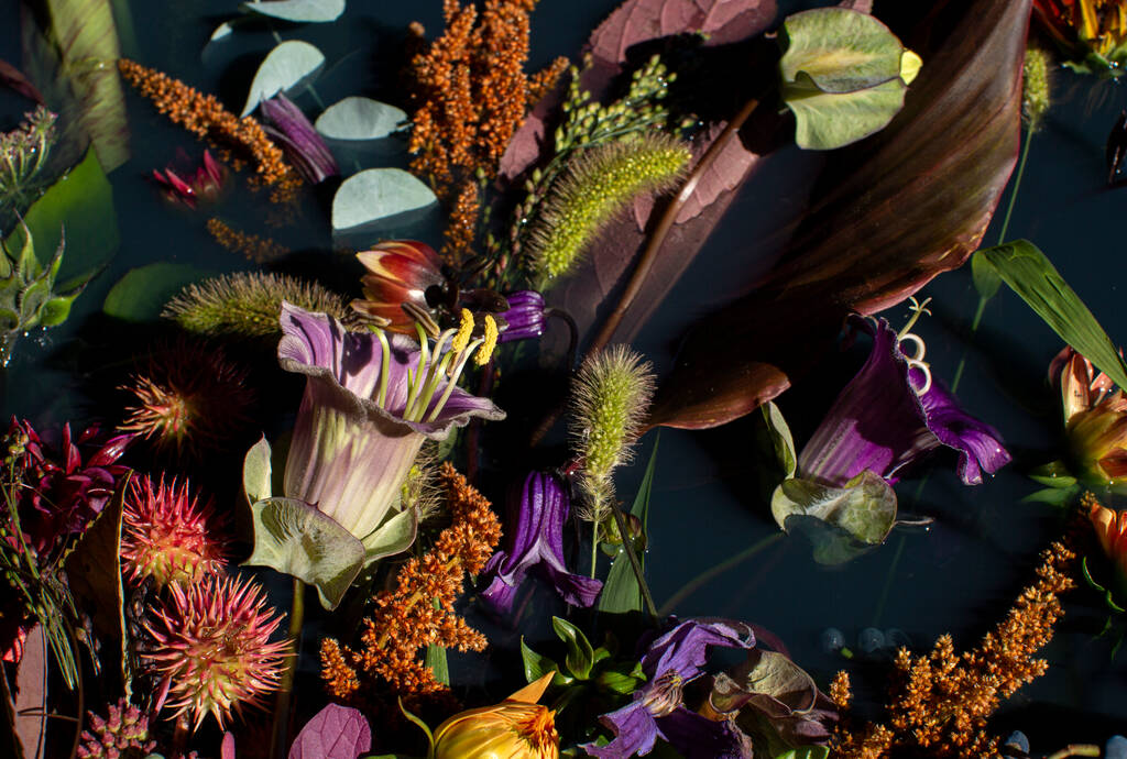 Szépművészeti virágkompozíció vízre.Gyönyörű csokor különböző virágok és növények. Esküvői kompozíció. Kiváló minőségű fénykép - Fotó, kép