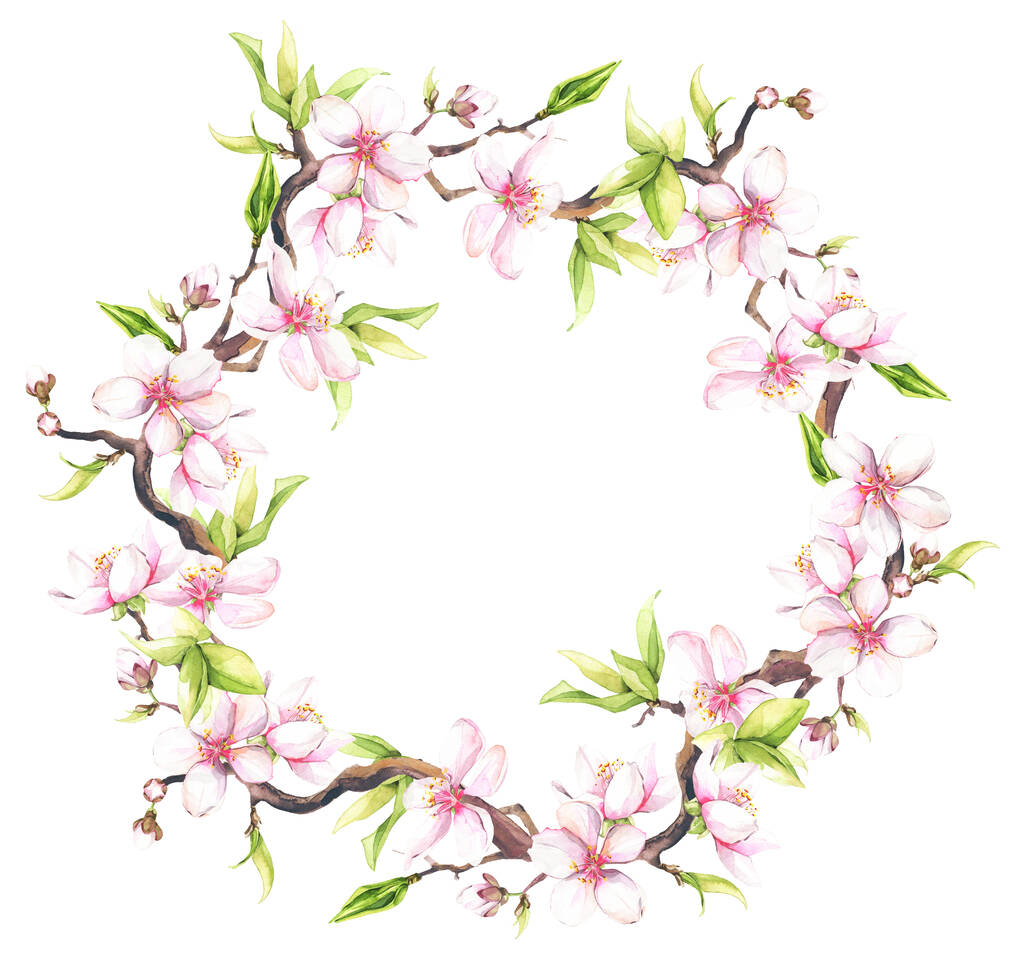 Акварель пофарбована в білі вишневі квіти. Ізольований квітковий вінок ілюстрація
. - Фото, зображення