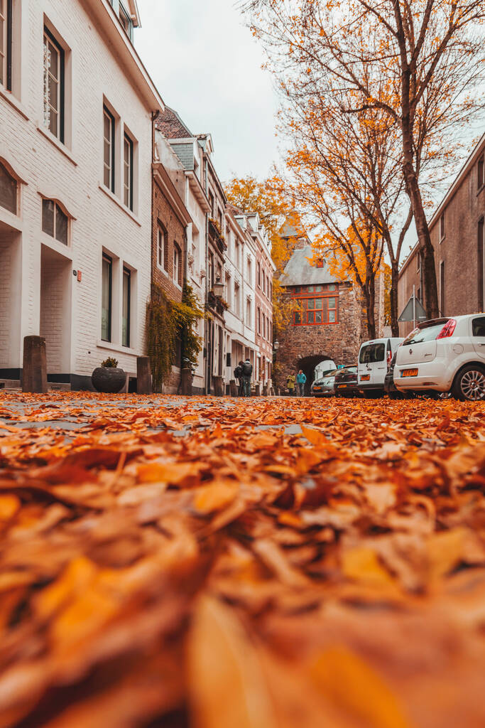 Остенде, Нидерланды - 16 октября 2021 года: вид на улицу осенью в Остенде, городе в Лимбурге, Нидерланды. - Фото, изображение