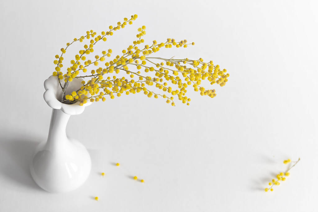 Стильний білий натюрморт з гілочкою жовтого мімози в білій керамічній вазі на світлому фоні
. - Фото, зображення