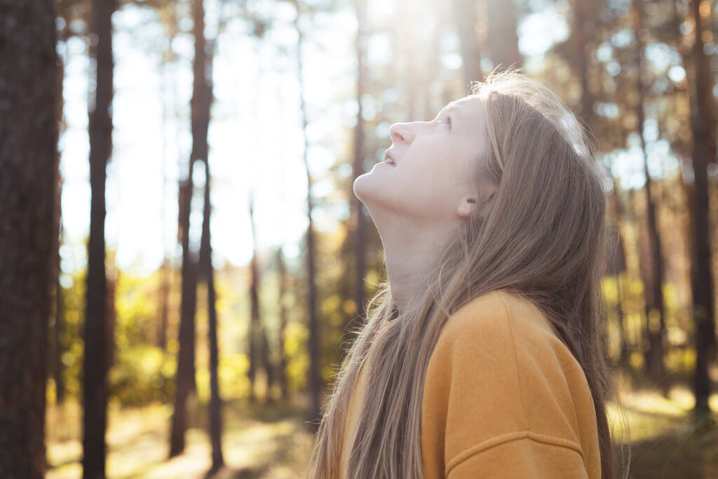 portret piękna szczęśliwa dziewczyna w lesie o zachodzie słońca tim - Zdjęcie, obraz