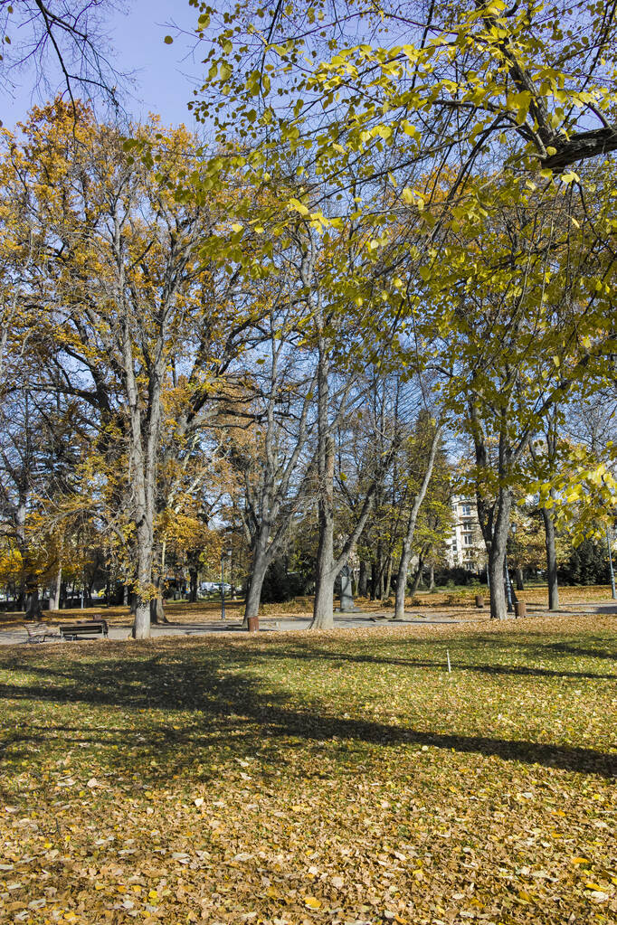 Increíble paisaje otoñal con árboles y jardines en Borisova gradina (Boris Garden) en la ciudad de Sofía, Bulgaria - Foto, Imagen