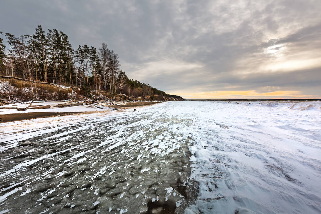 Ob Nehri 'nde buzul çağının başlangıcı. Kıyı kenarında çam ormanı olan kar ve buz hummokları. Berdsk, Novosibirsk bölgesi, Batı Sibirya, Kasım - Fotoğraf, Görsel