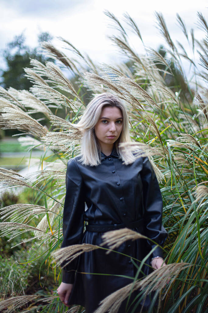 Jovem loira europeia em vestido de outono preto com juncos atrás - Foto, Imagem