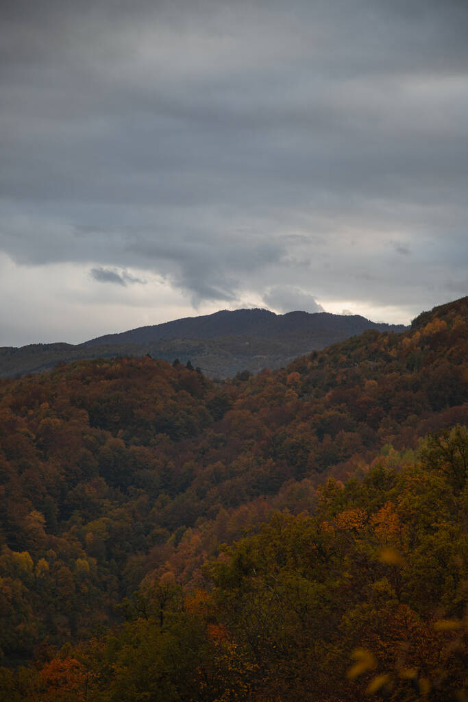 Τα βουνά σκεπασμένα με φθινοπωρινά δέντρα - Φωτογραφία, εικόνα