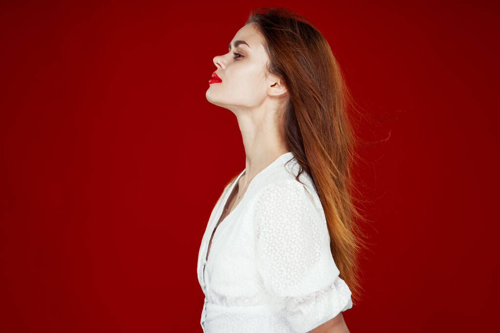 bonita mulher moda penteado posando lábios vermelhos isolado fundo - Foto, Imagem