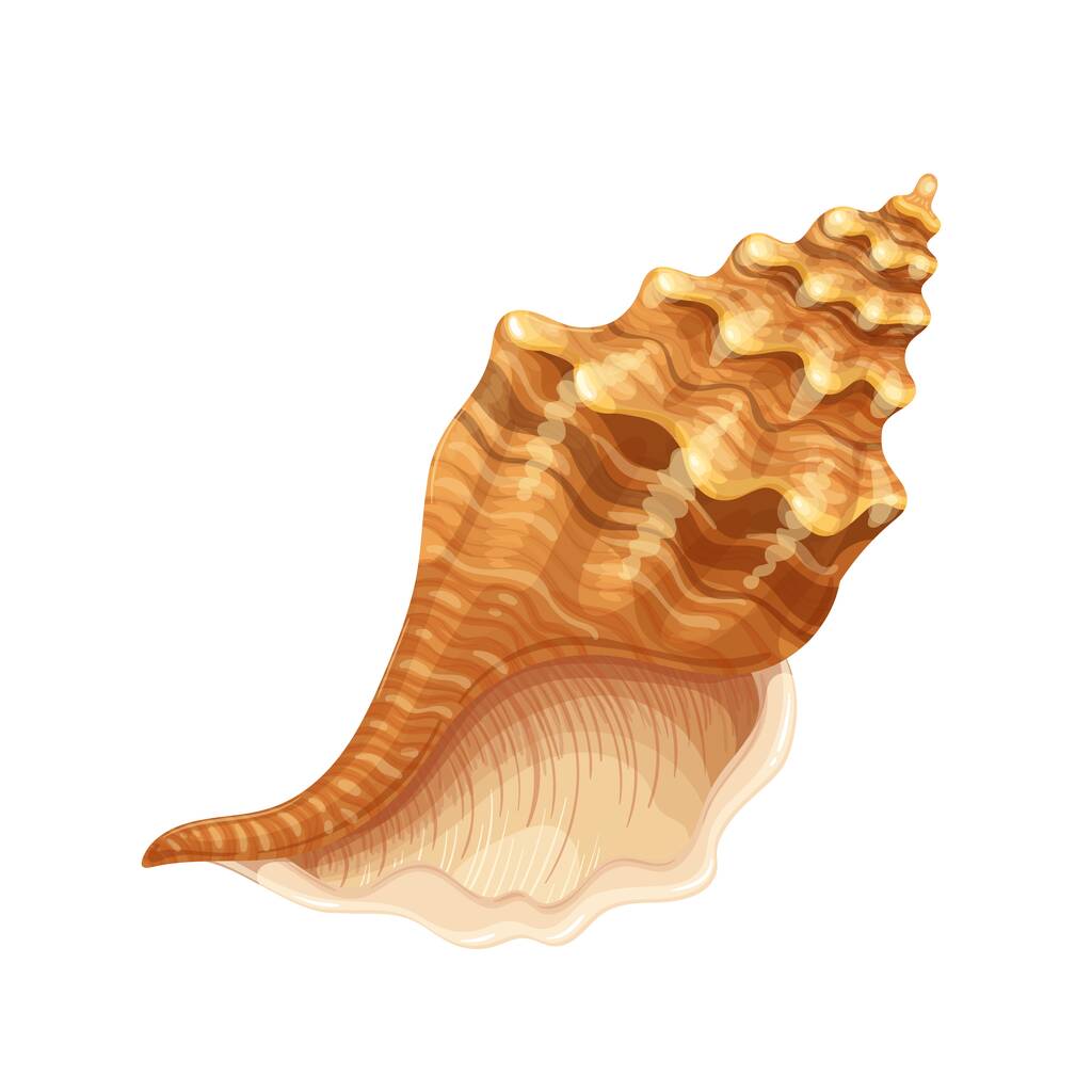 Ikona Seashell, podwodny motyw - Wektor, obraz