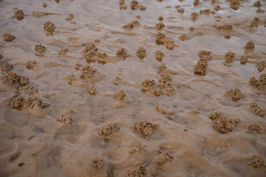 A beautiful view of worm casts on the beach at low tide - Φωτογραφία, εικόνα
