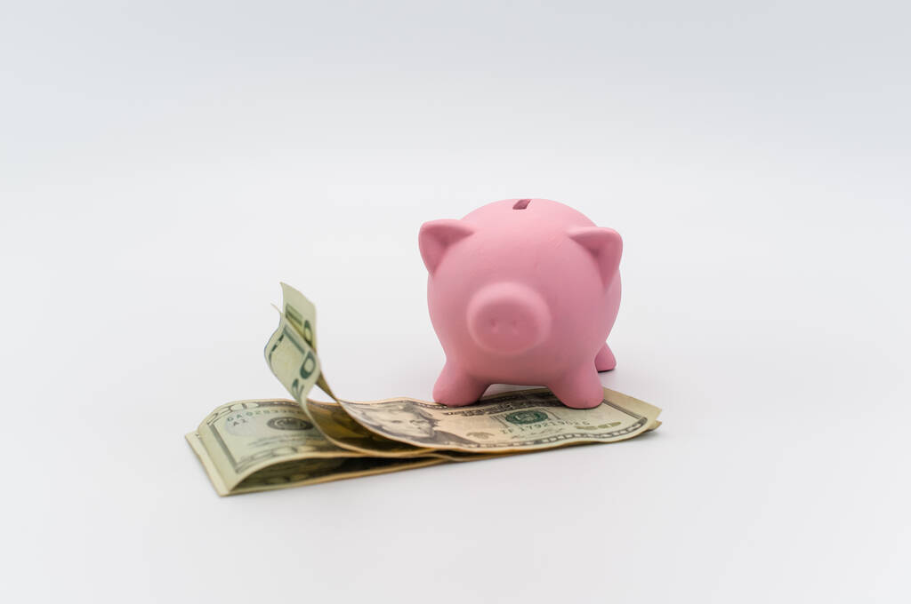 vaaleanpunainen säästöpossu ja dollarin setelit valkoisella pöydällä kopiointitilalla - Valokuva, kuva
