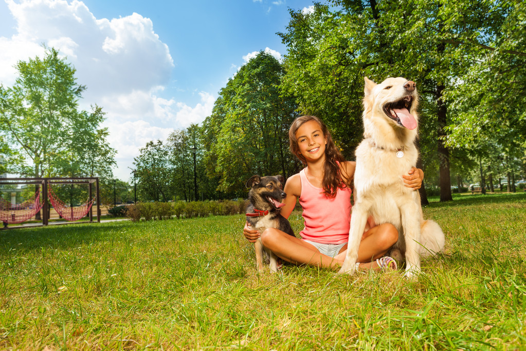 Nice teenage girl with her dogs - Photo, Image