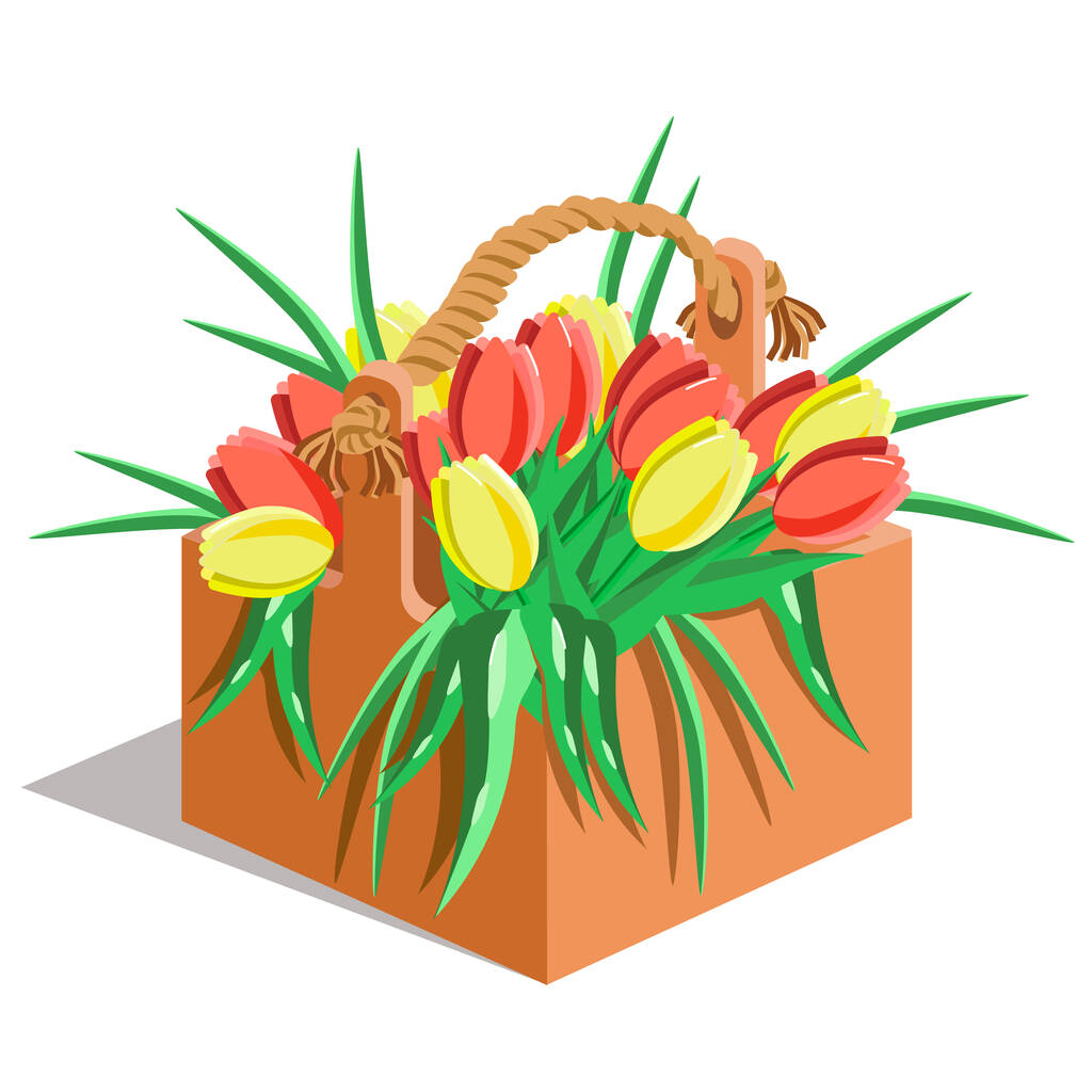 Tulipani colorati in una scatola di legno stilizzata, isolati su uno sfondo bianco.Un mazzo di tulipani rossi e gialli può essere utilizzato nei tessuti, disegni festivi per l '8 marzo e la festa della mamma, nei negozi di fiori, post - Vettoriali, immagini