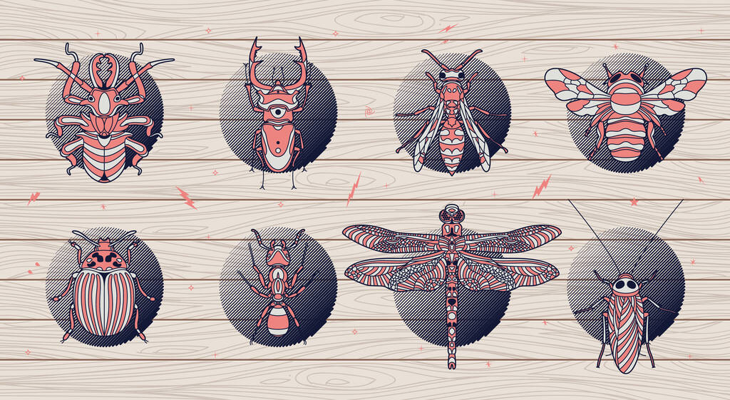 Ilustración abstracta de insectos - Vector, Imagen