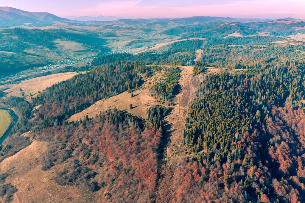 Vista aérea de coloridas laderas de montañas en un día soleado. Vista de las montañas en otoño. Hermoso paisaje natural. Montañas Cárpatas. Ucrania - Foto, imagen
