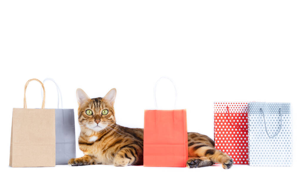 The cat is lying among the packages. Shopping. - Photo, Image