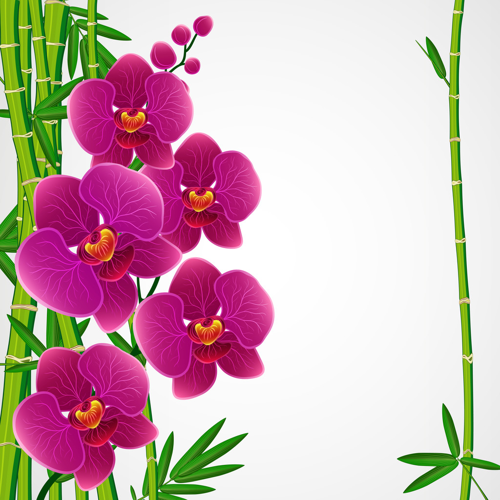 Eps10 Floral design background. Bamboo and orchids. - Vector, Image