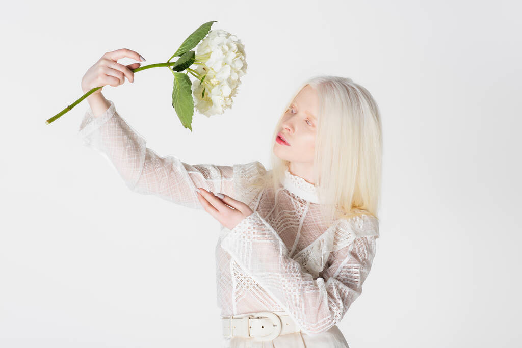 Pretty albino woman looking at hydrangea flower isolated on white - Photo, Image