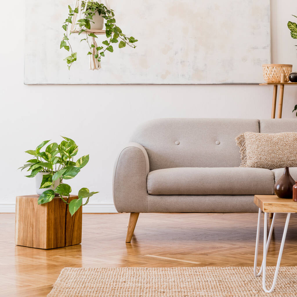 Κομψή σύνθεση του δημιουργικού ευρύχωρο εσωτερικό διαμέρισμα με γκρι καναπέ, τραπεζάκι του καφέ, φυτά, χαλί και όμορφα αξεσουάρ. Λευκοί τοίχοι και παρκέ δάπεδο. - Φωτογραφία, εικόνα