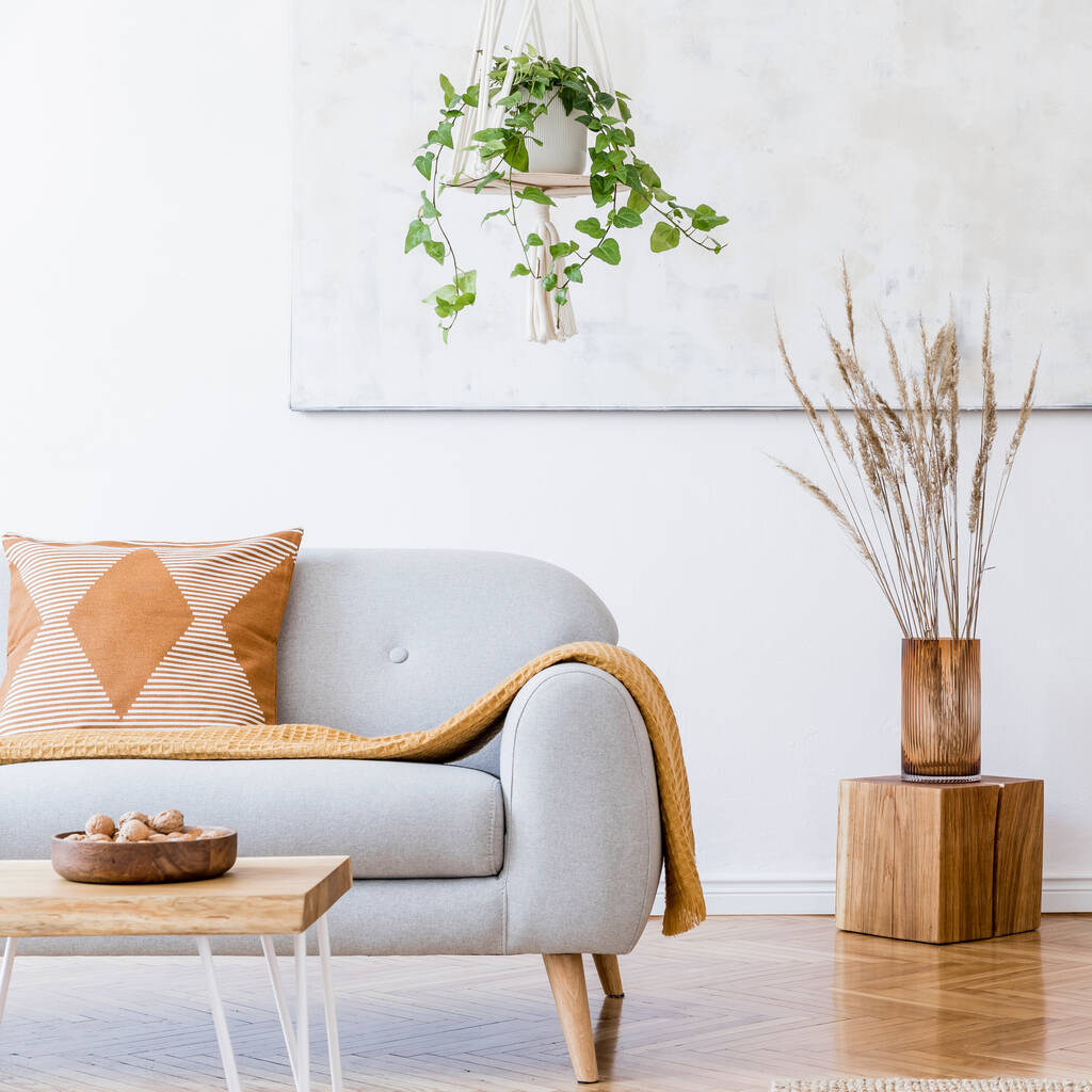 グレーのソファ、コーヒーテーブル、植物、カーペットや美しいアクセサリーと創造的な広々としたアパートメントのインテリアのスタイリッシュな組成。白い壁と寄木細工の床. - 写真・画像