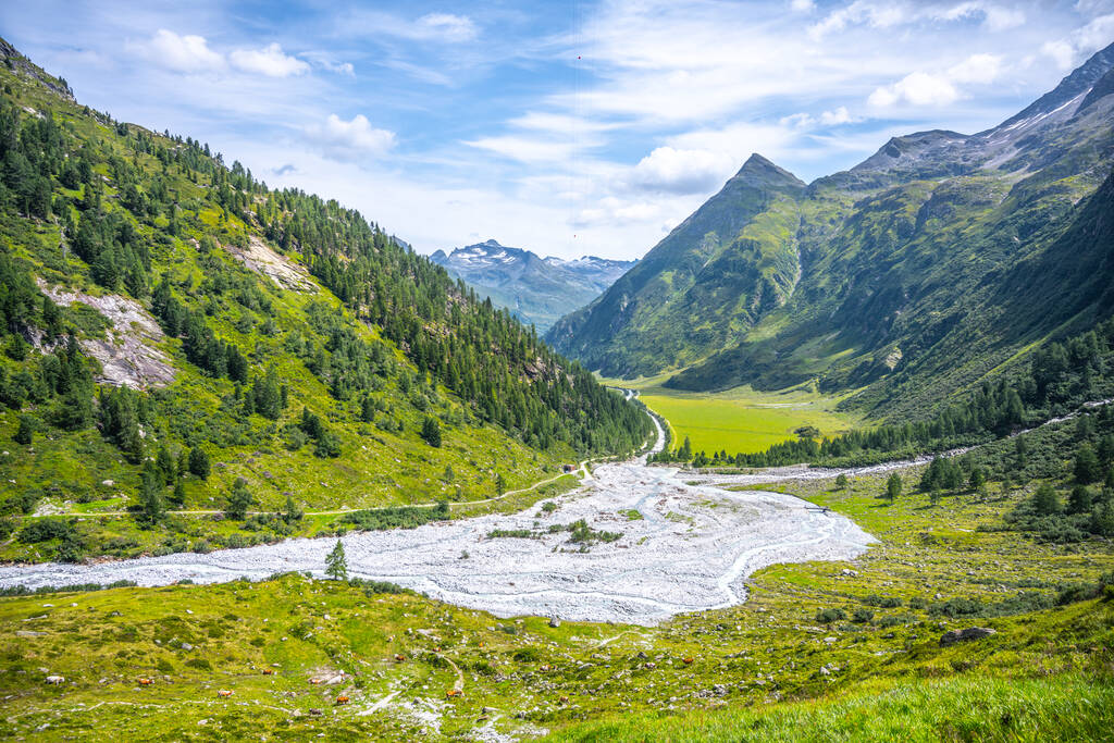 zelená louka v alpském údolí, - Fotografie, Obrázek