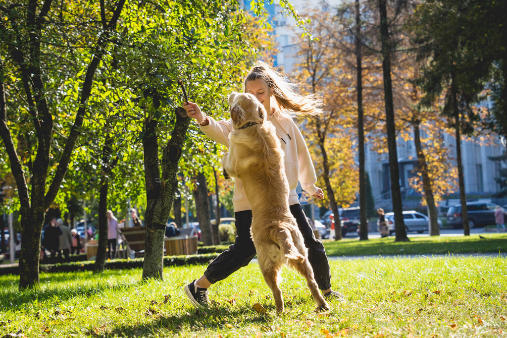 Le propriétaire joue le chien golden retriever dans le parc. - Photo, image
