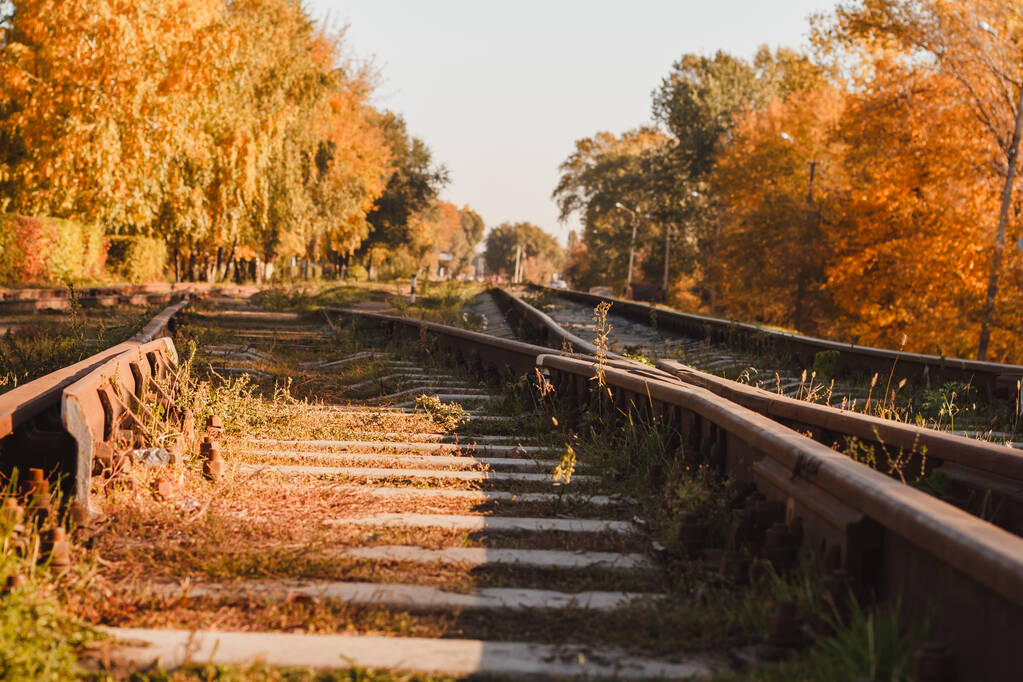 鉄道スイッチ、秋の森の中のレール。秋 - 写真・画像