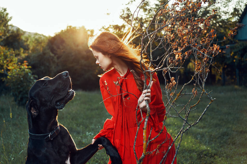 χαριτωμένη γυναίκα με κόκκινο φόρεμα παίζει με το σκυλί σε εξωτερικούς χώρους φιλία - Φωτογραφία, εικόνα