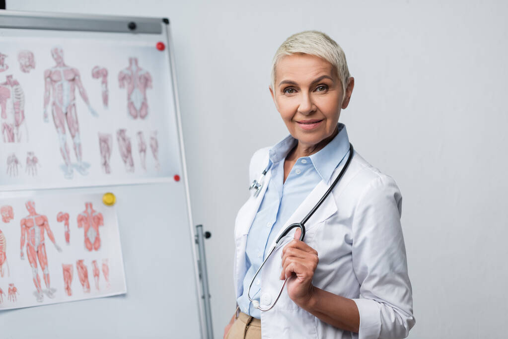 glücklicher Oberarzt in weißem Mantel mit Stethoskop, das neben Flipchart mit anatomischen Bildern steht  - Foto, Bild