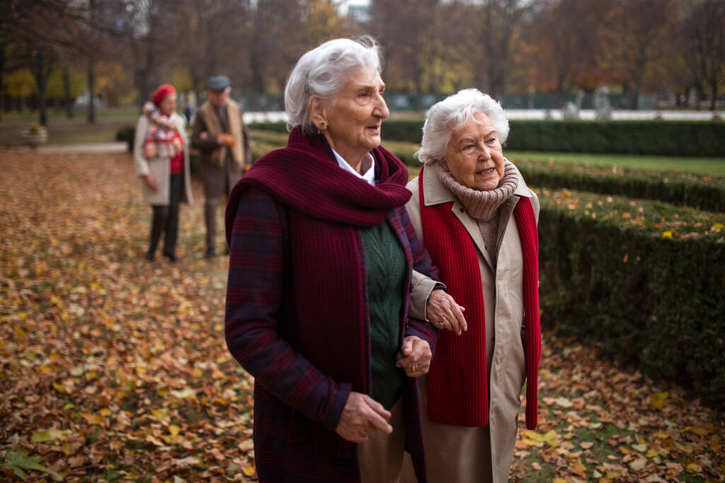 Senior ženy přátelé na procházce venku v městském parku na podzim, drží se navzájem a mluví. - Fotografie, Obrázek
