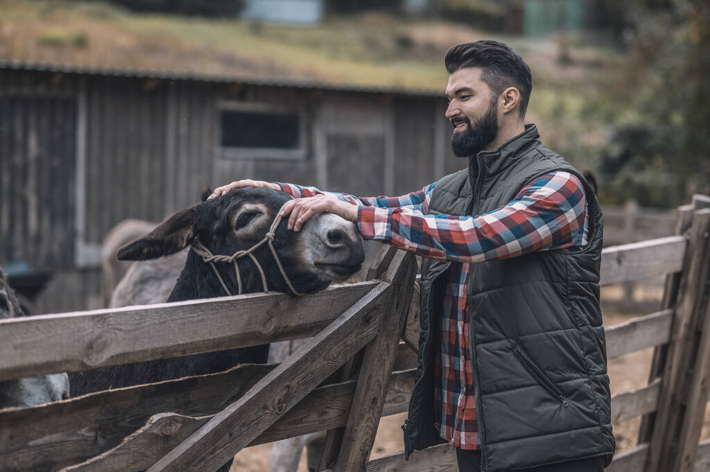 Agricoltore barbuto in piedi vicino all'asino in un recinto per bovini - Foto, immagini