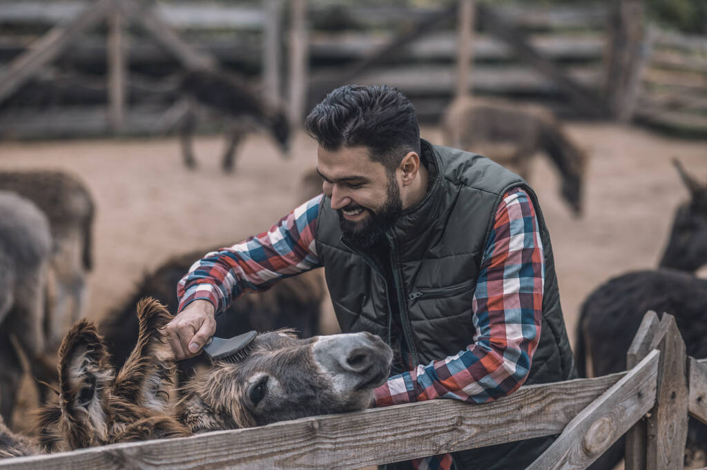 Boer en zijn kudde op een veehouderij - Foto, afbeelding