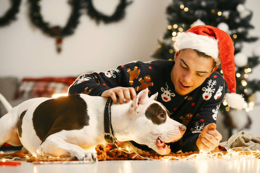 クリスマスツリーの近くに大きな犬を持つ男 - 写真・画像