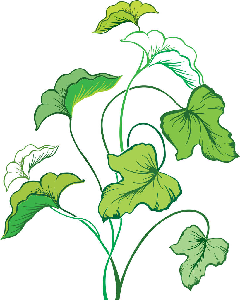 vektor illusztráció zöld és fehér virágos háttér - Vektor, kép