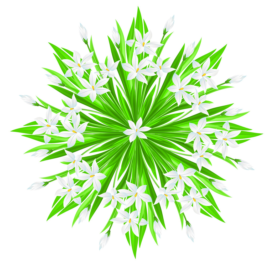 Весенний цветок
 - Вектор,изображение