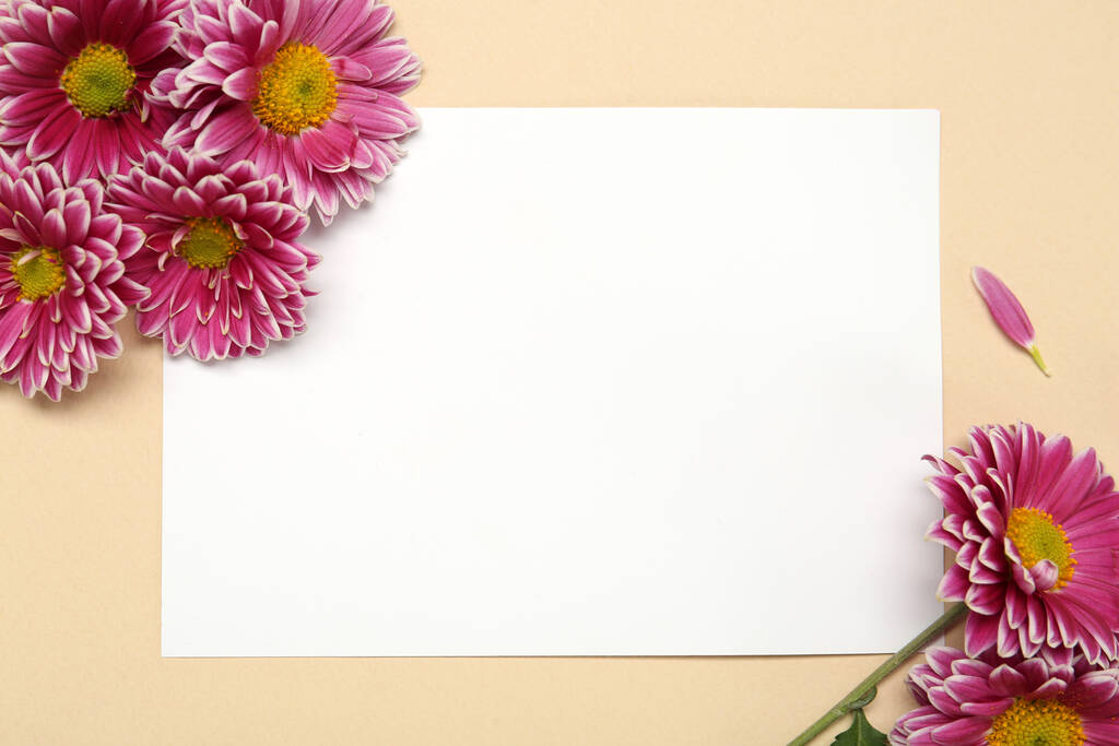 Beautiful chrysanthemums and blank card on beige background, flat lay. Space for text - Photo, Image