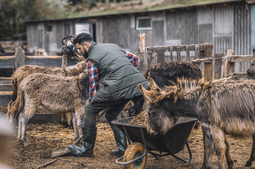 Ein Bauer putzt den Viehstall und sieht beschäftigt aus - Foto, Bild