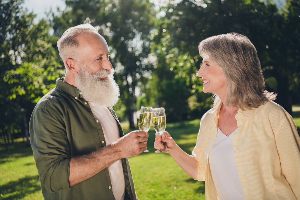 Photo de joyeux vieux retraités joyeux pensionnés clink verre champagne nature à l'extérieur dans le parc - Photo, image