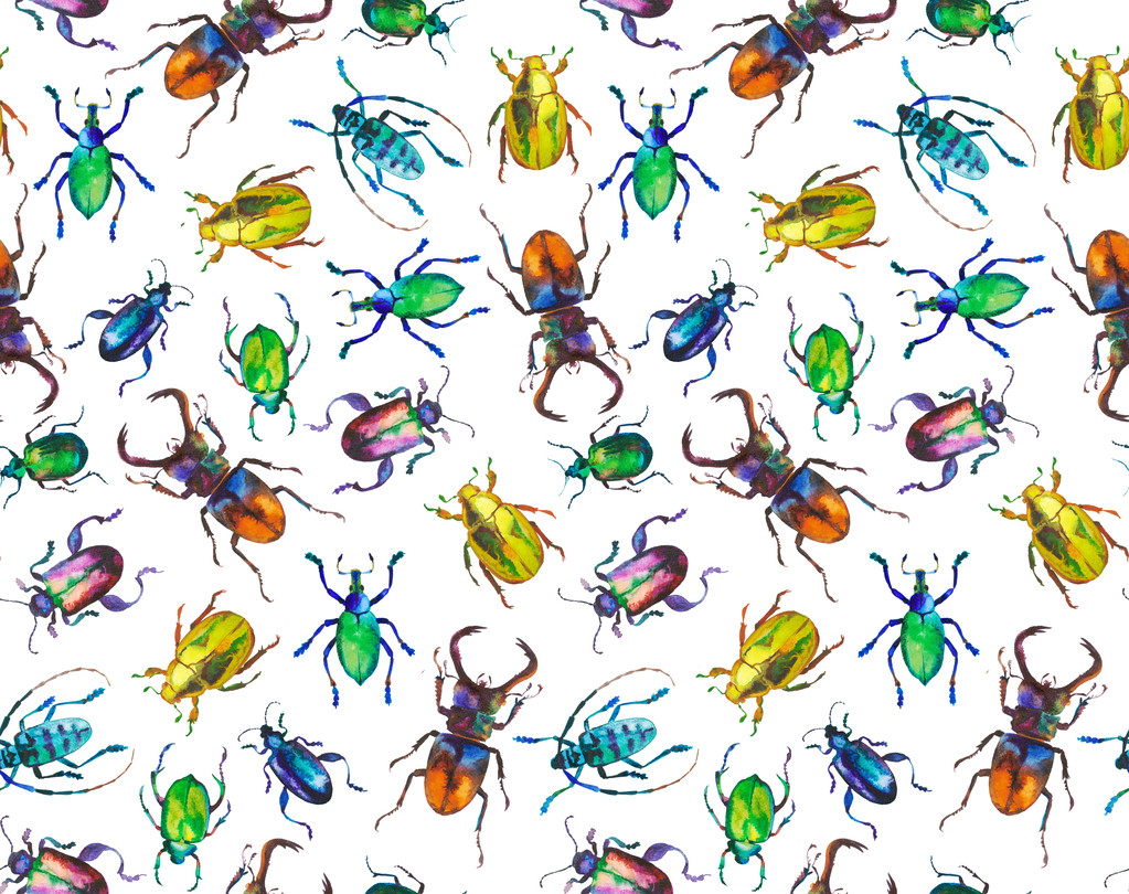 Escarabajos de acuarela, patrón
 - Foto, imagen