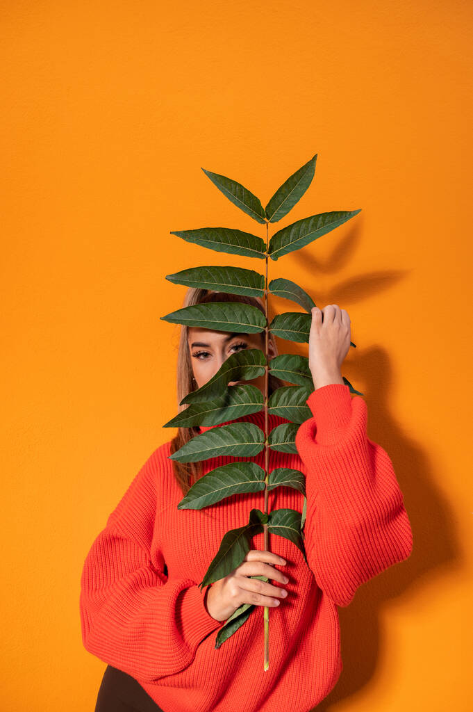 Un disparo vertical de una chica en un suéter brillante sosteniendo una planta verde y posando en el fondo naranja - Foto, Imagen