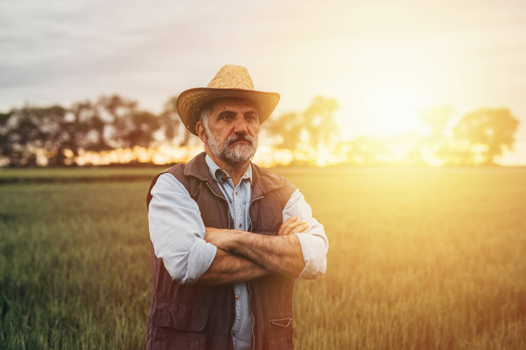 senior man farmer posing outdoor - Photo, Image